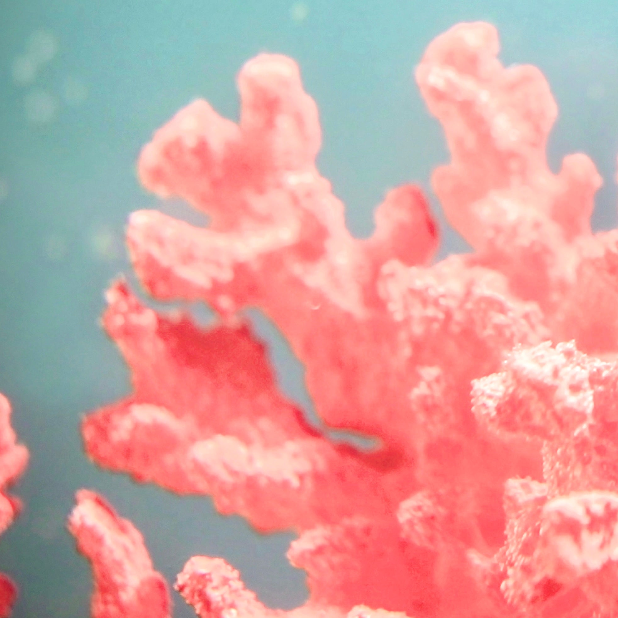 What sustainable beauty means to me? - ISOBEL PERL