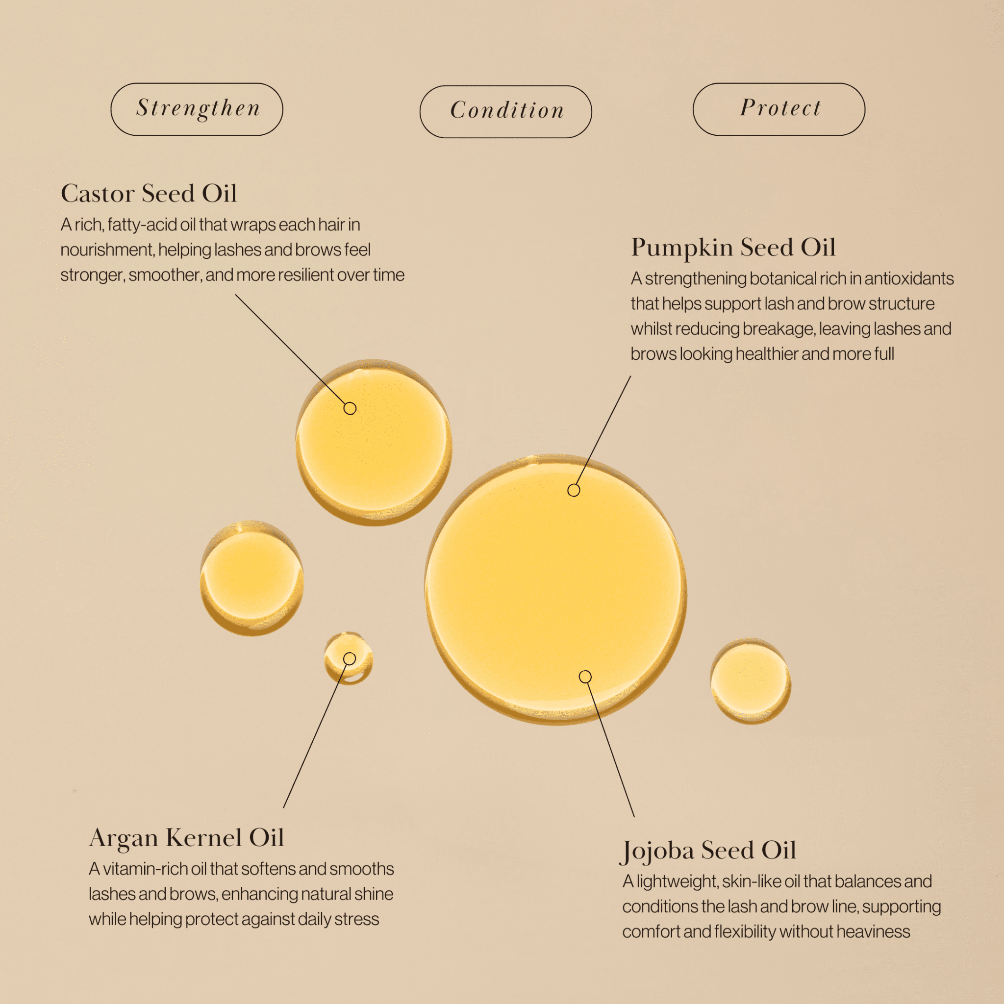 NOURISHING LASH OIL - ISOBEL PERL