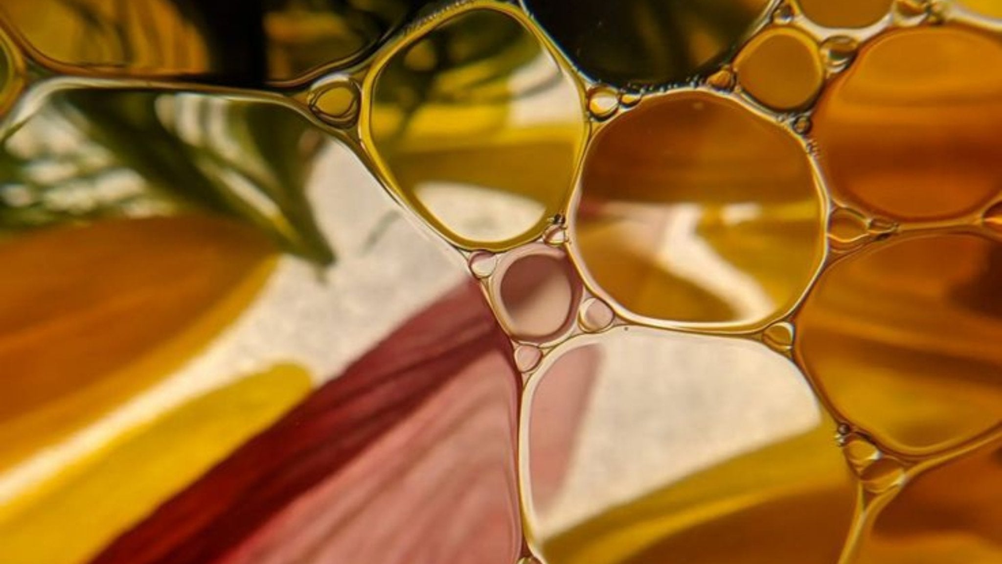 Enhance Your Lips’ Natural Glow with PERL Cosmetics’ Hydrating Lip Oil! - ISOBEL PERL