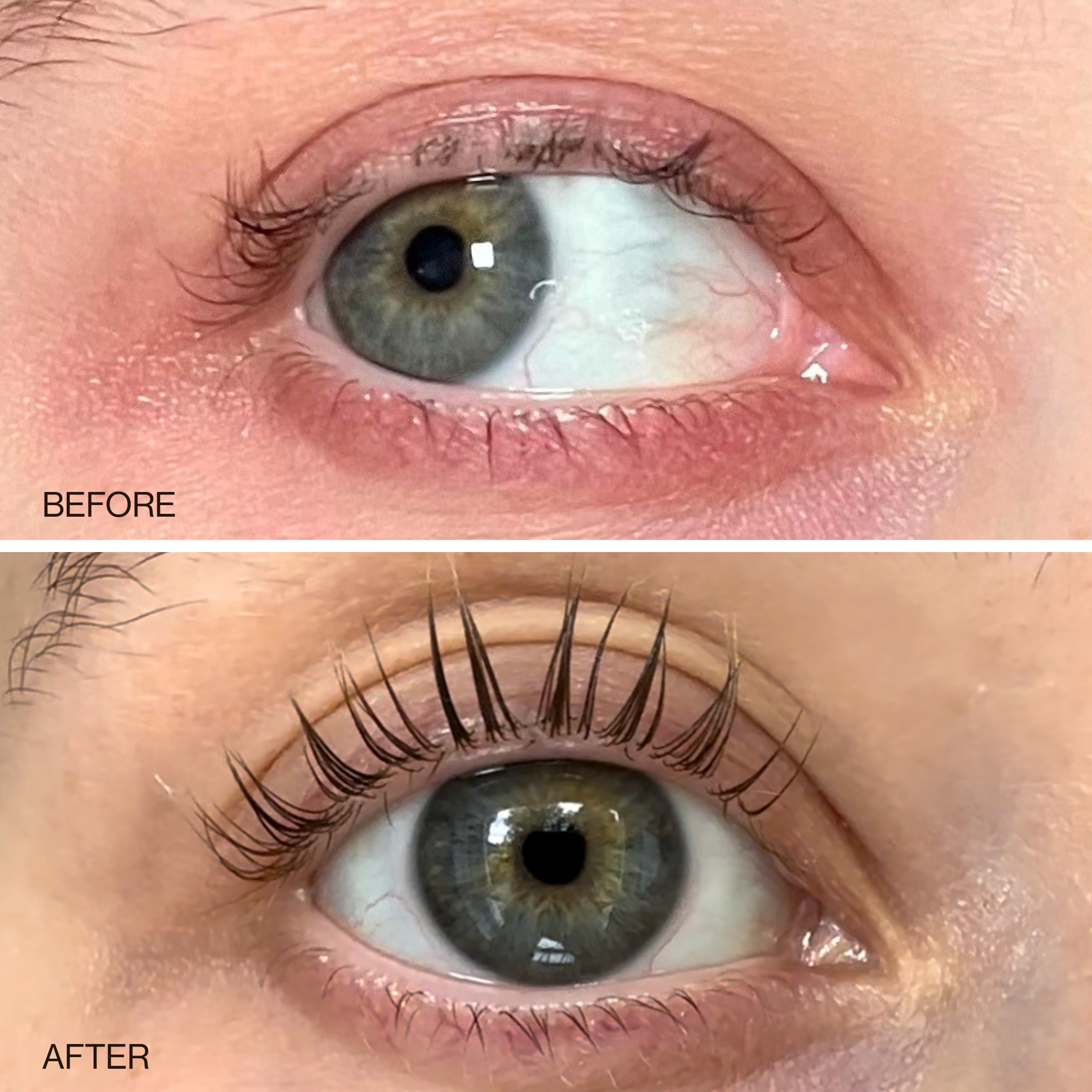LASH & BROW OIL