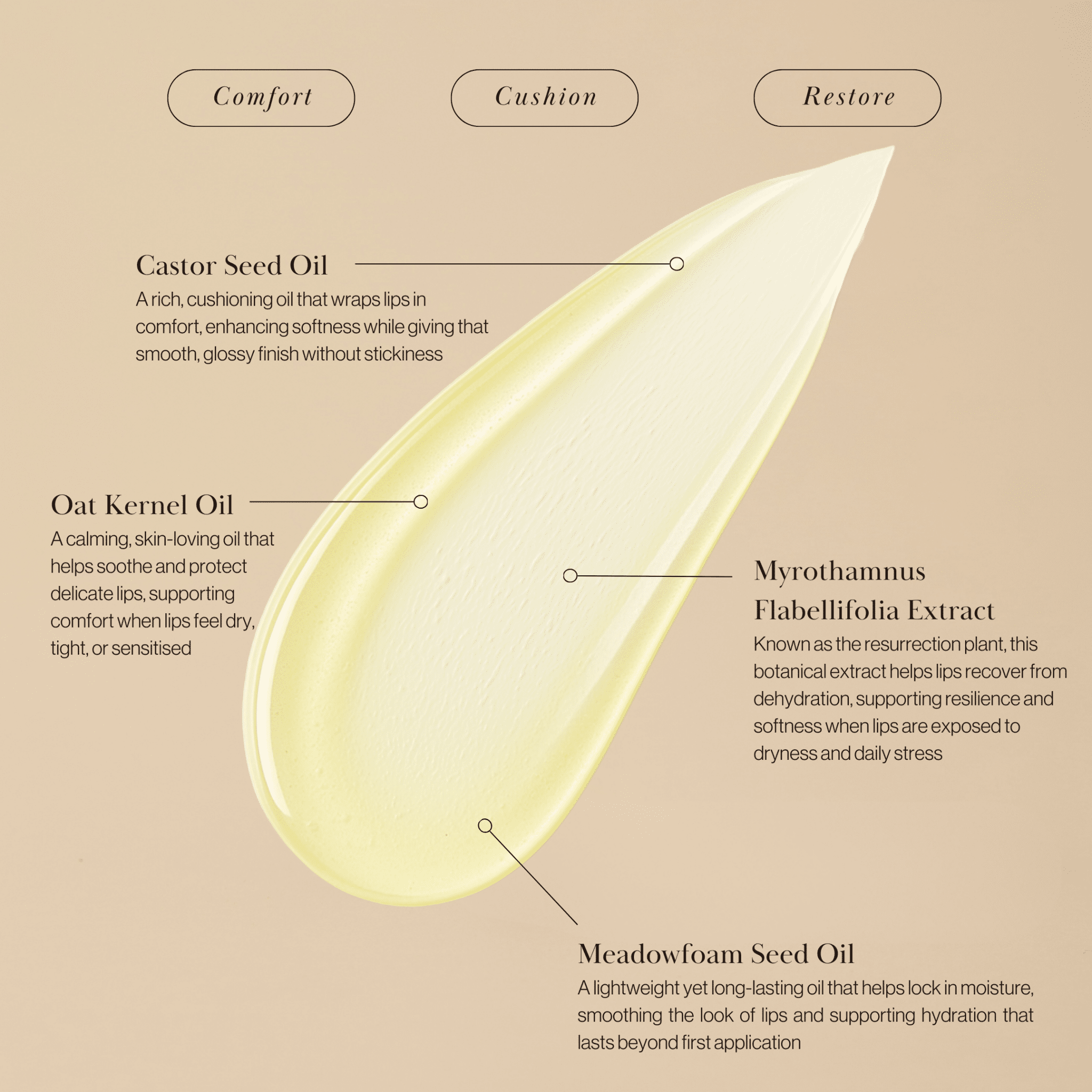 HYDRATING LIP OIL - ISOBEL PERL